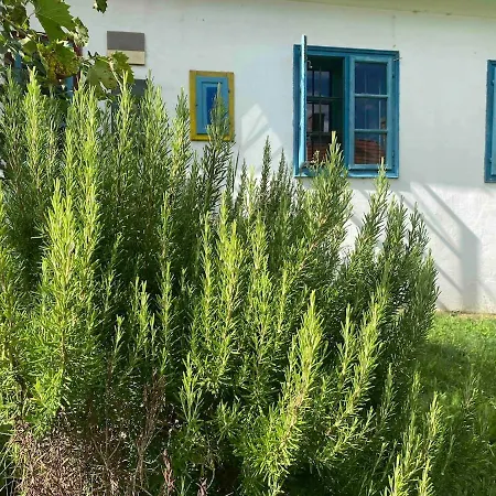 Apartmán Jegmadar Festoporta Somogyfajsz